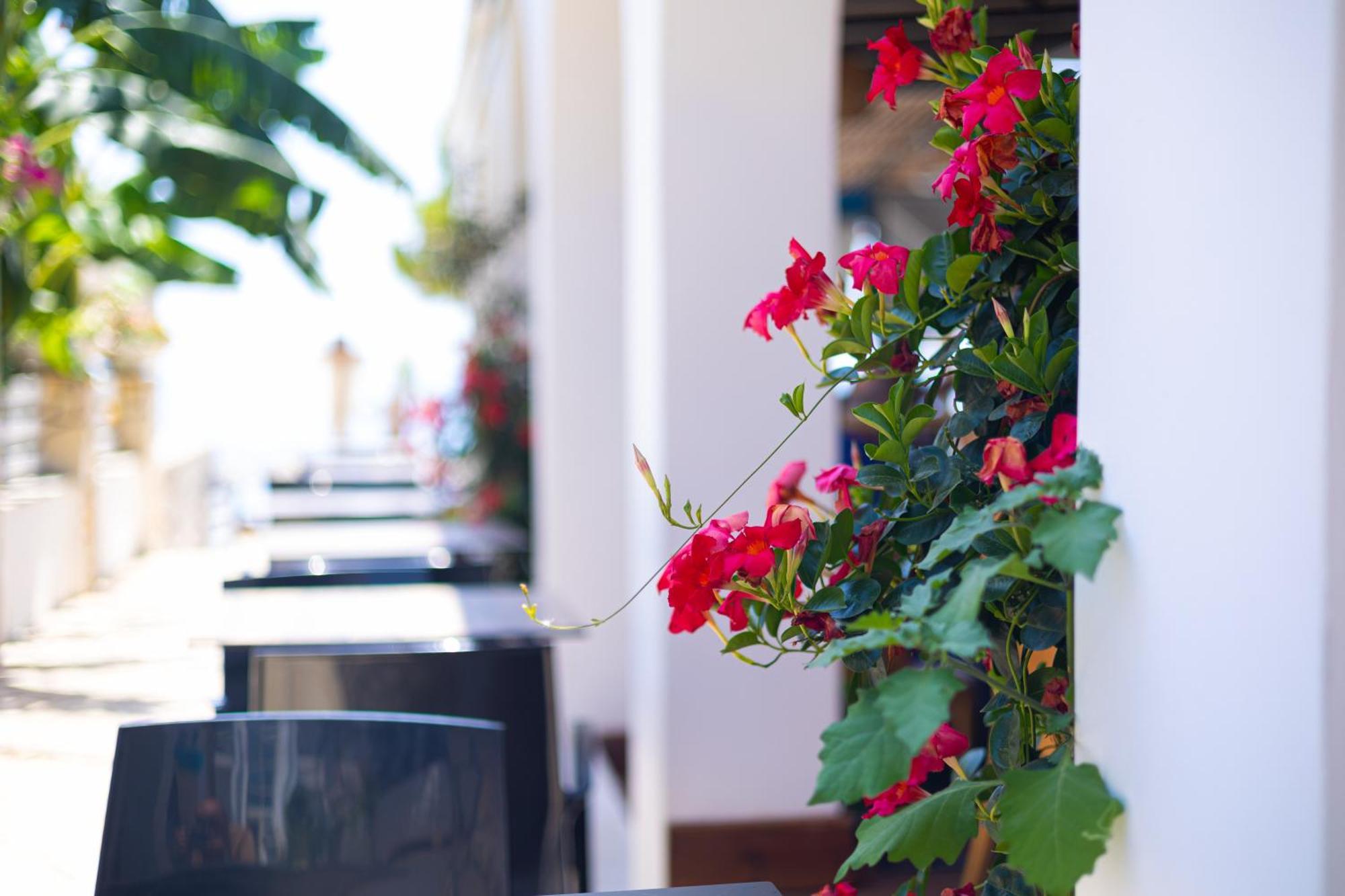 Royal Blue Hotel Dhërmi Kültér fotó